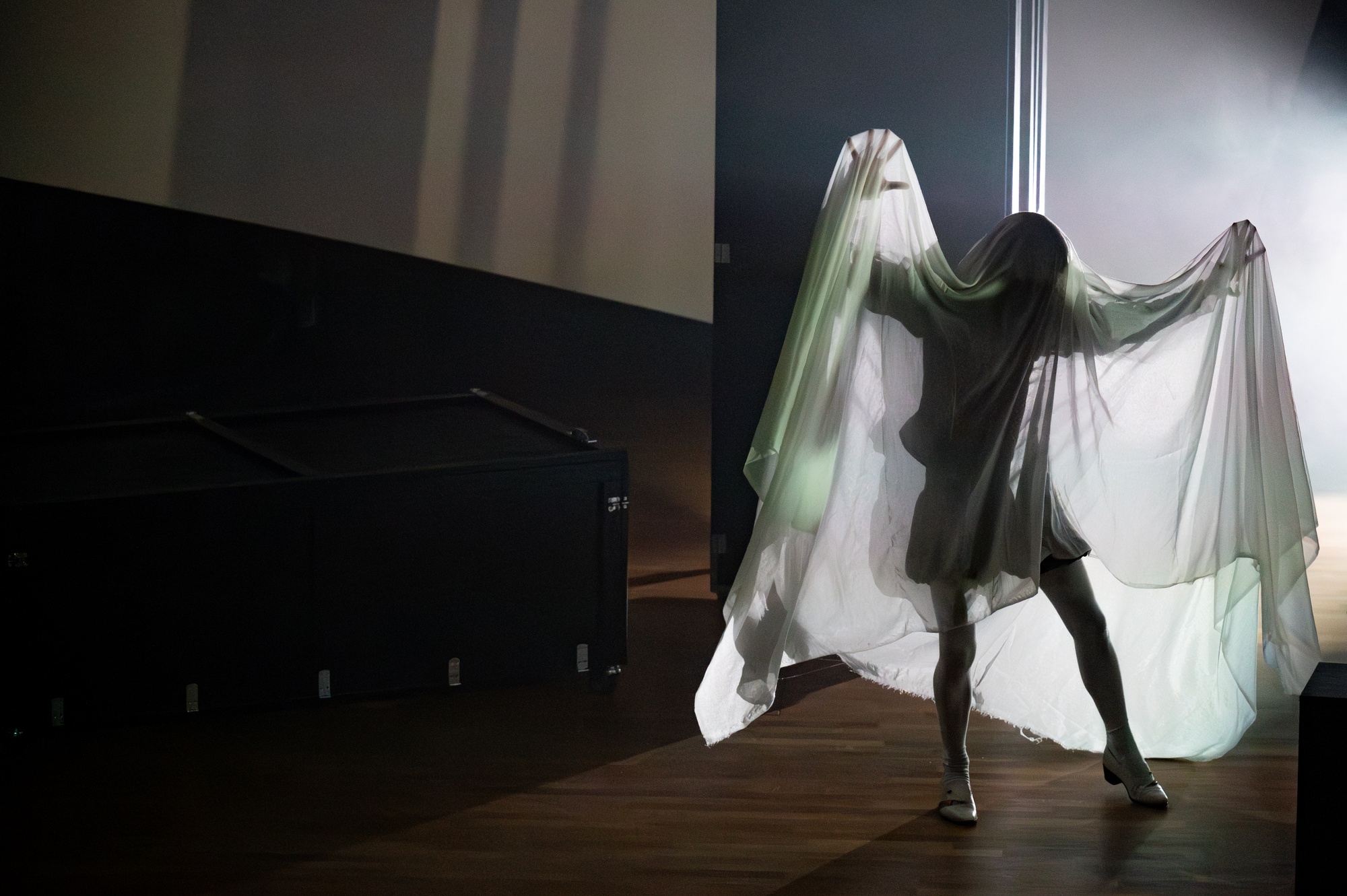 Gespenst von Canterville C Ines Rebelo de Andrade